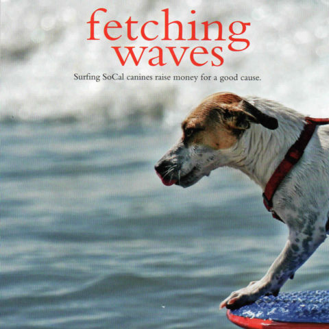 Fetching Waves